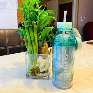 Starbucks Water Bottle